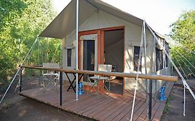 The Wild Olive Tree Camp